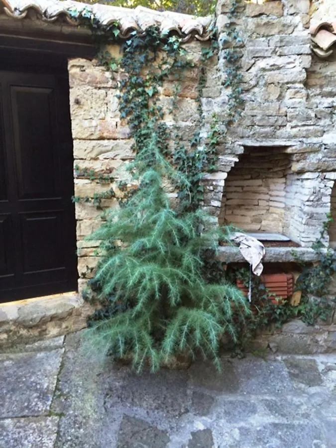 Stone House Heitzler Holiday home Groznjan
